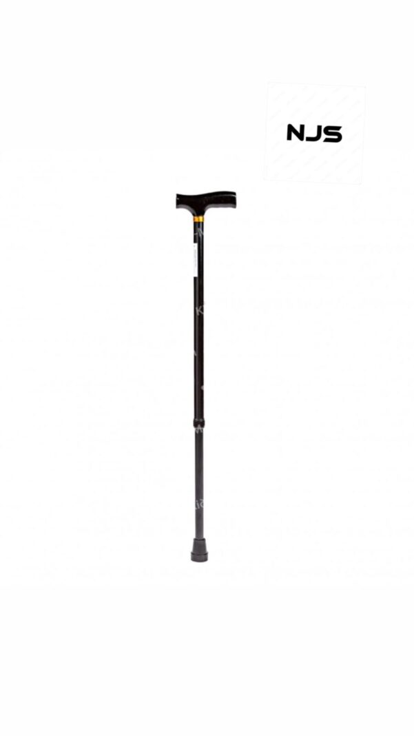 WALKING STICK